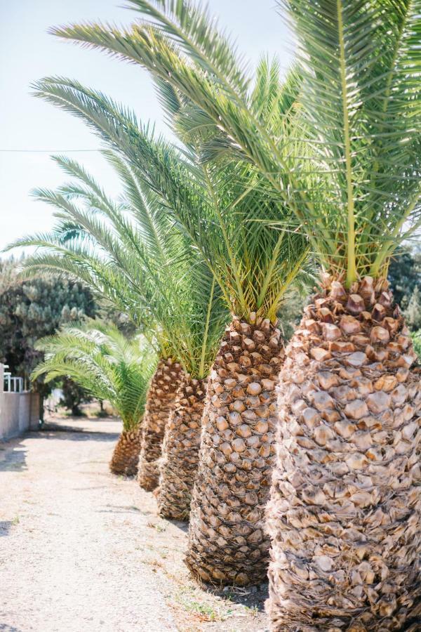 Ktima Tzaneti Villa Lakhania Ngoại thất bức ảnh