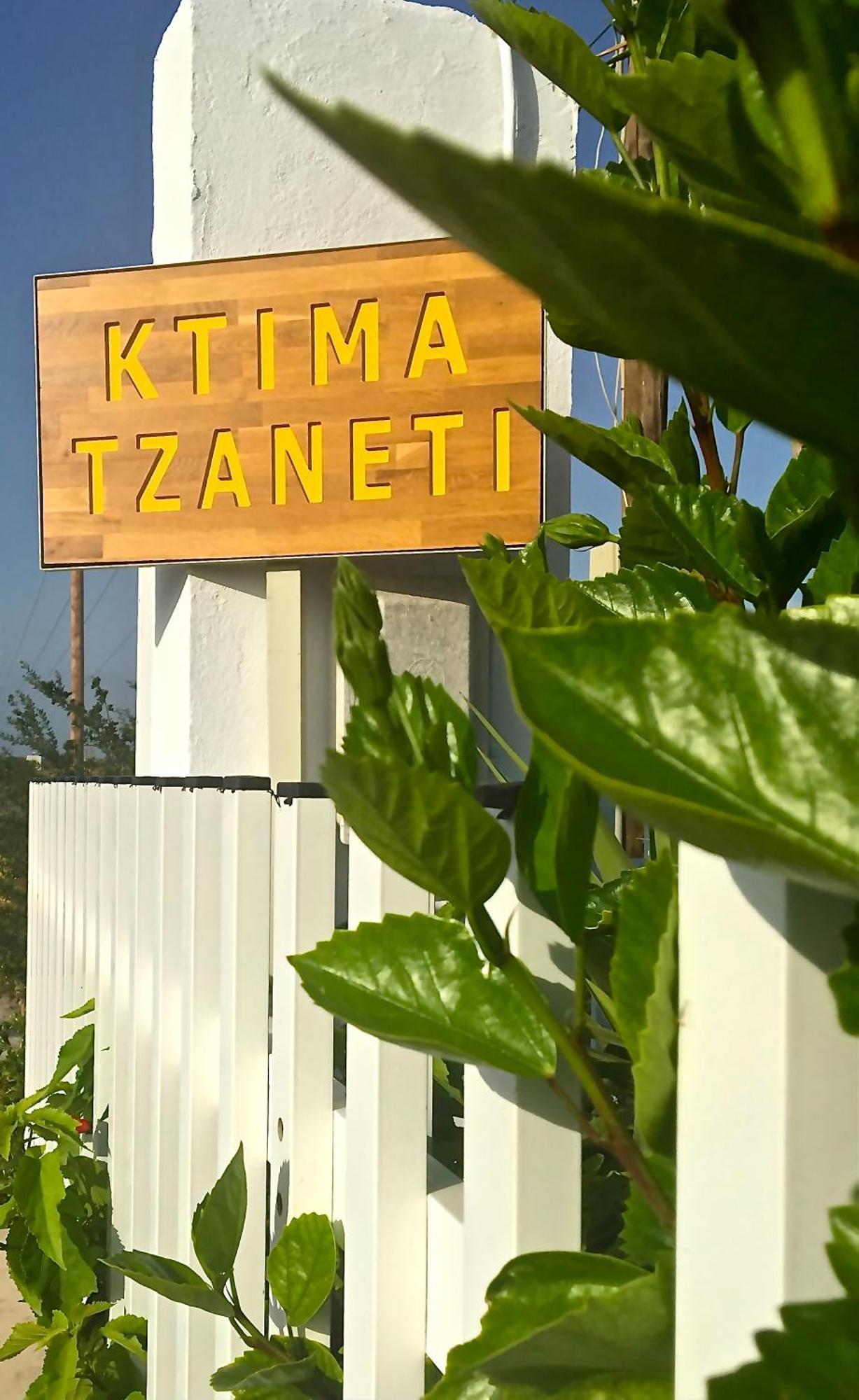 Ktima Tzaneti Villa Lakhania Ngoại thất bức ảnh